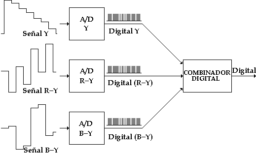 Codificación de componentes